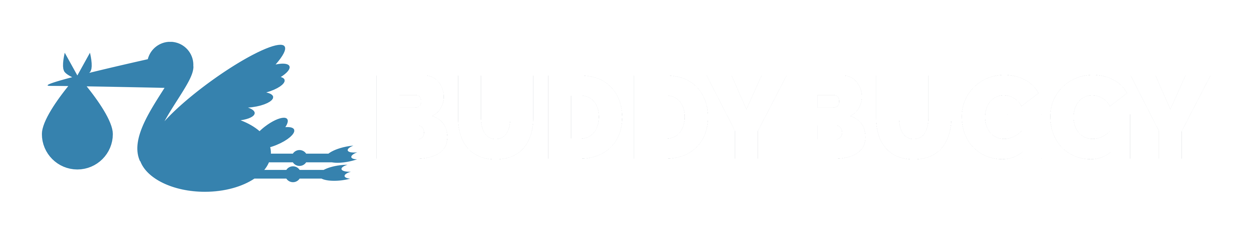 BuddyBuggy